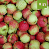 Schöner von Herrnhut Bio-Äpfel 5kg|truncate:60