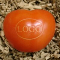 LOGO-Tomate|truncate:60