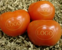 LOGO-Tomate
