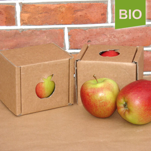 Bio-Apfel Einzelbox / Braeburn
