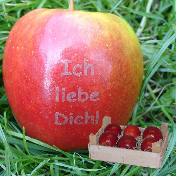 Liebesapfel rot / Ich liebe Dich! / 6 Äpfel Holzkiste / Kiste ohne Branding