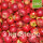 Bio-Äpfel 3kg-Steige / Kleine rote Äpfel