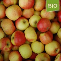 Stina Lohmann Bio-Äpfel 5kg|truncate:60