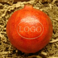 LOGO-Granatapfel|truncate:60