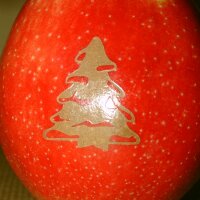 Tannenbaum-Apfel Laser - passend zur Weihnachtszeit