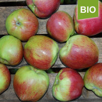 Bio-Apfel Hilde