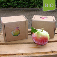 Bio-Apfel der Sorte Jamba|truncate:60